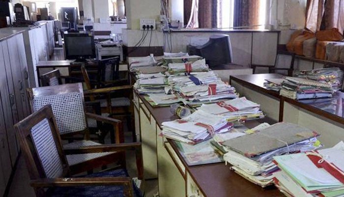 203781 7041236 updates