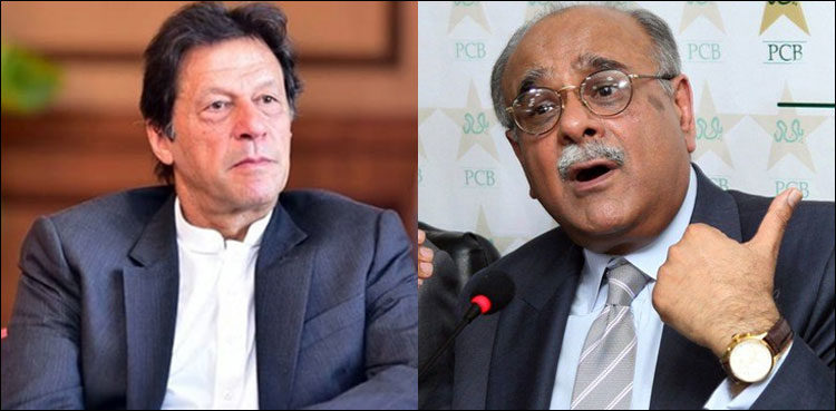 Imran Khan Najam Sethi pics