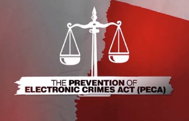 IMG 20220408 WA0068 1