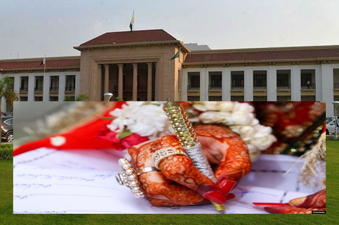 Picsart 22 10 15 11 28 50 249