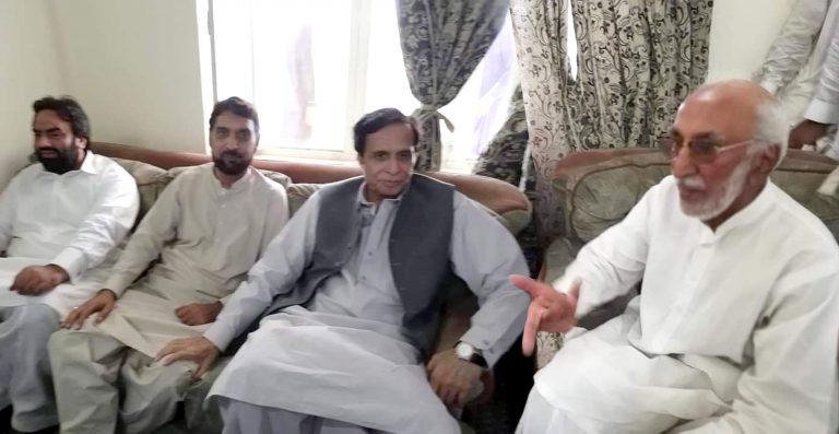 d611a635 315a 4424 a6f8 3ea47f67dcf0 copy 768x397 1