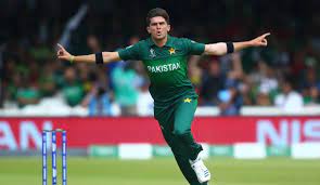 shaheen afridi