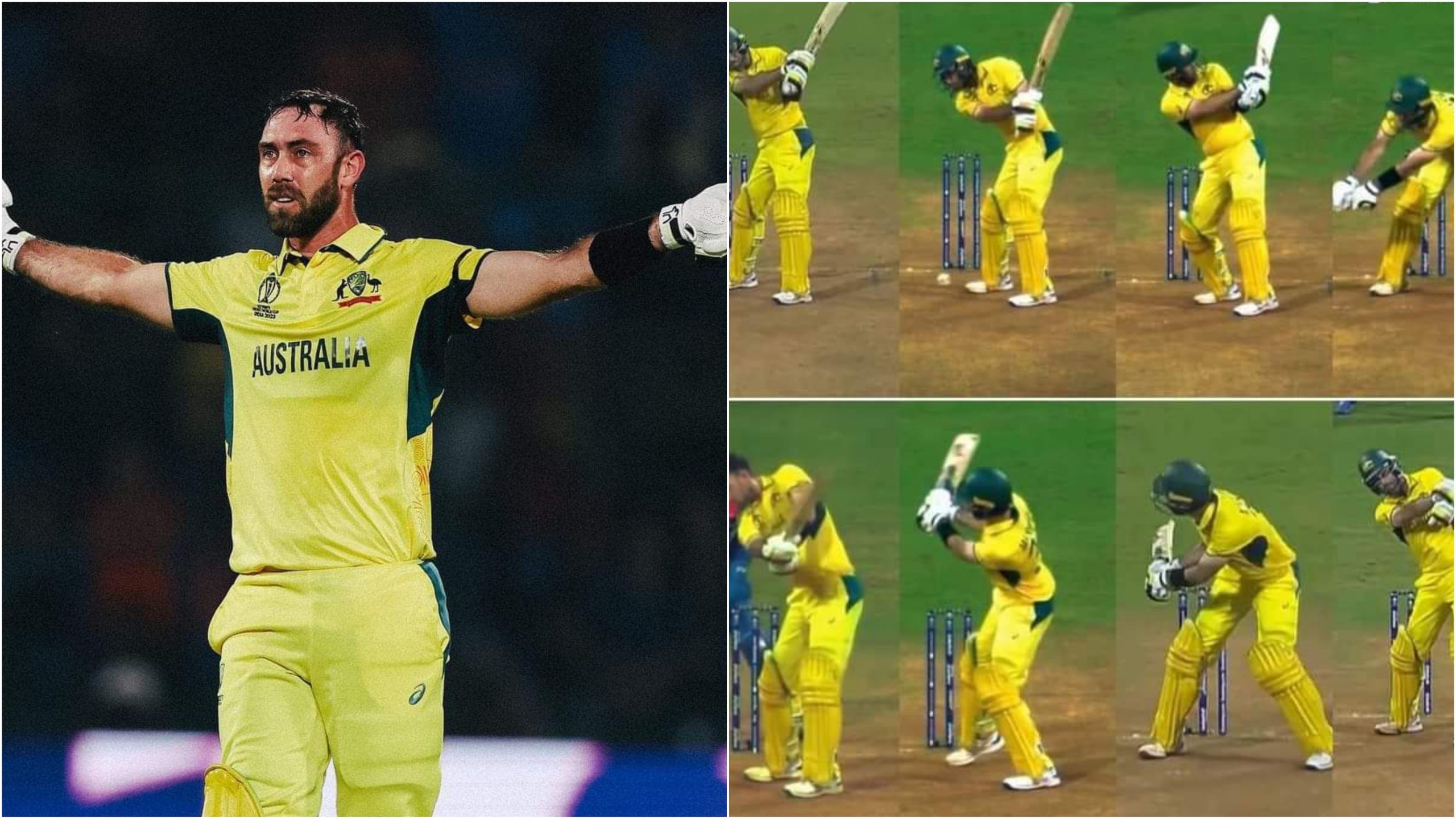 Picsart 23 11 07 23 33 48 310 1 scaled