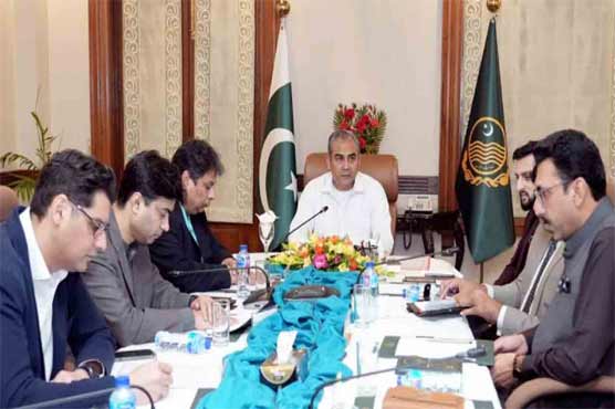 moshin naqvi cabinet