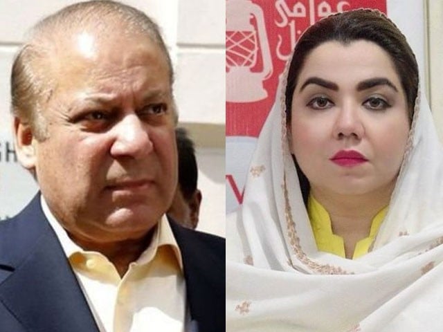 بلورخاندان کی اے این پی سے علحیدگی،ثمر ہارون بلور نے مسلم لیگ ن میں شامل