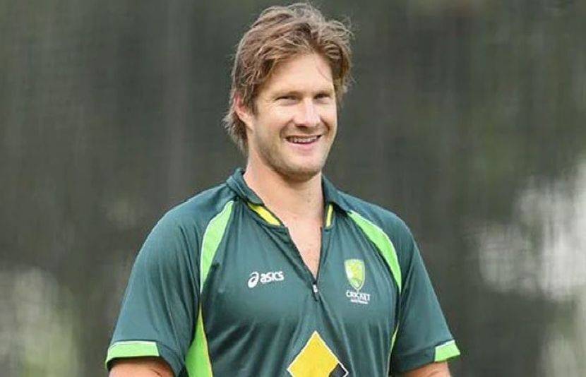 shane watson