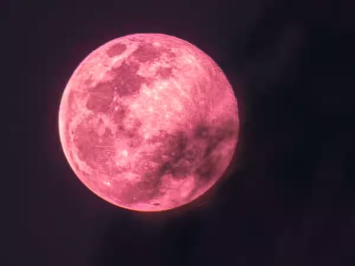 pink moon4