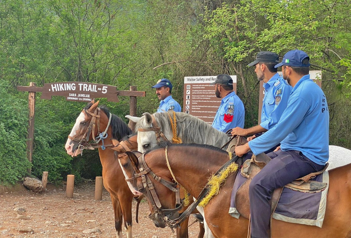 horses on trail 5 AN Photo