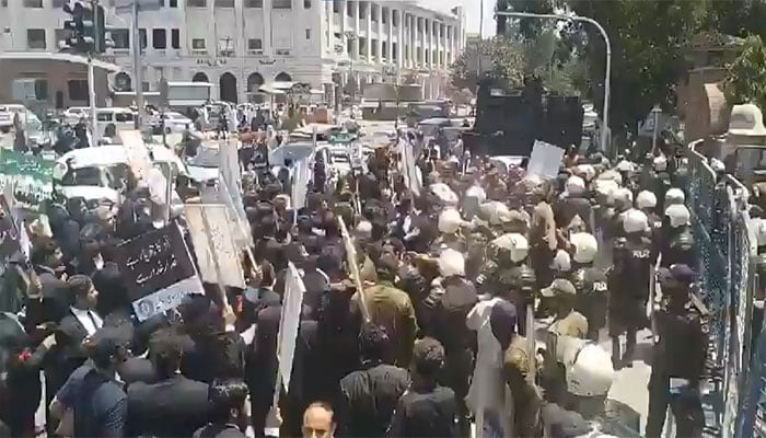 lawyer protest4