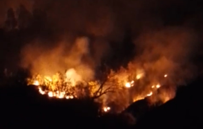 Screenshot 20240618 225319 1