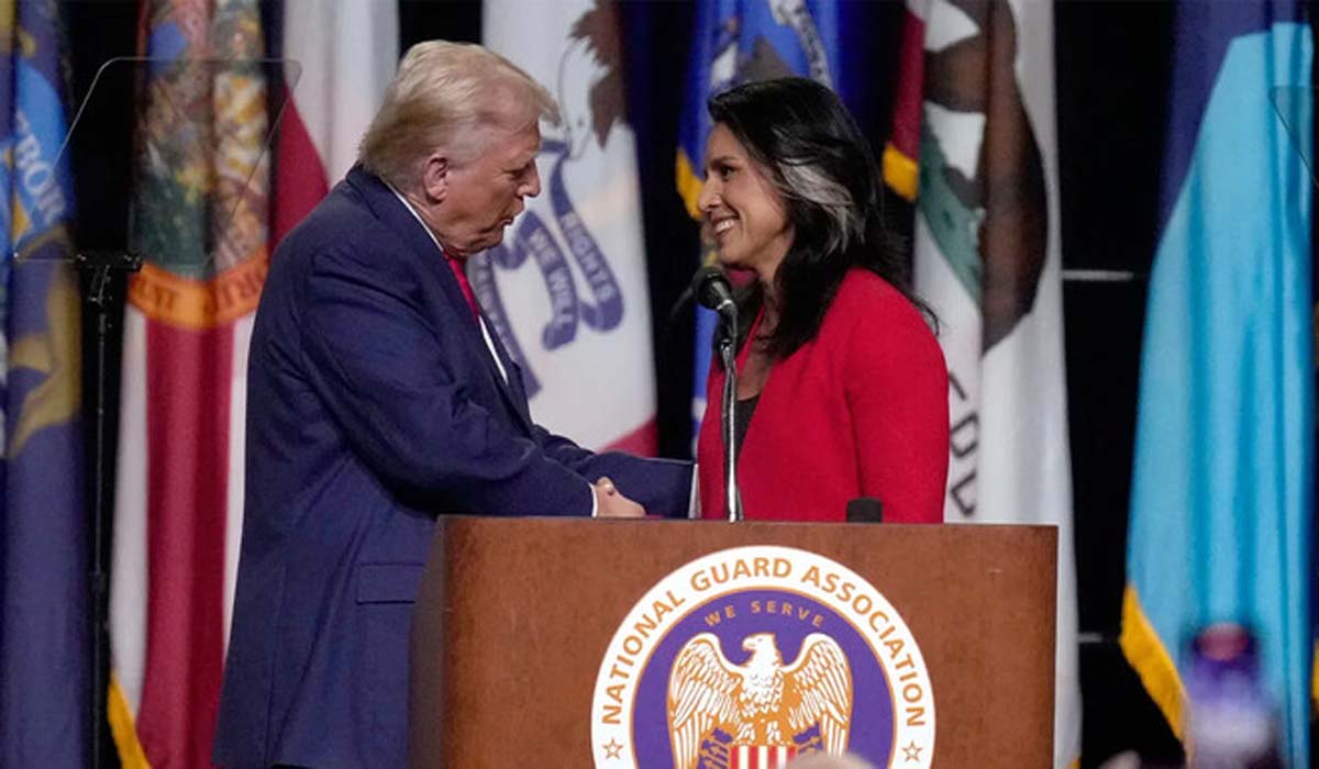 trumptulsi gybard