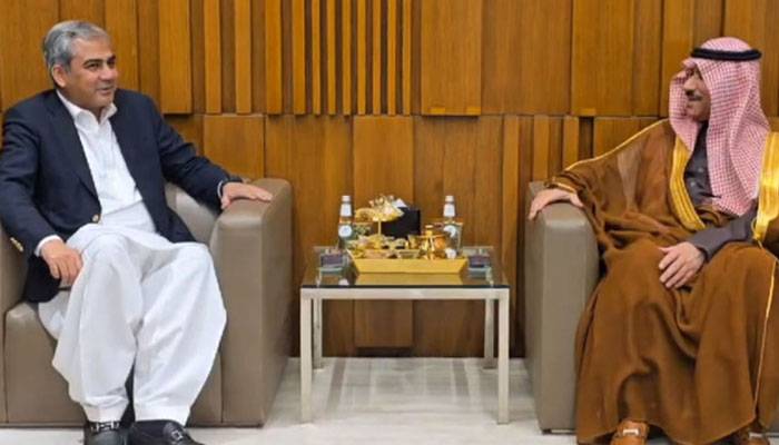 mohsin saudi minister