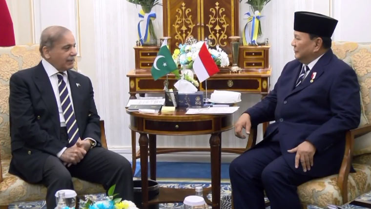 pmindonaia president