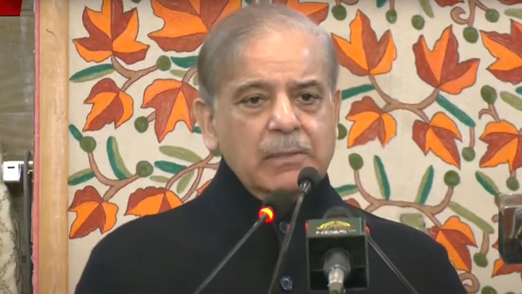 pm shahbaz76