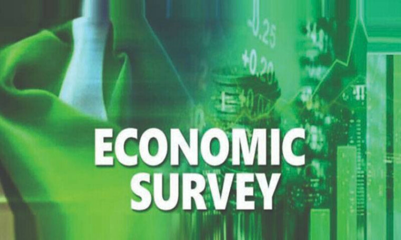 economic survey