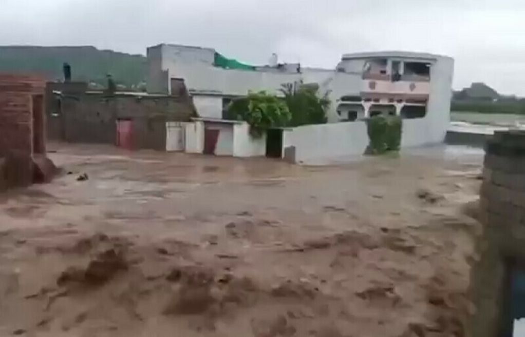 cba6c67b88d9b44459b5df61a44027c0 XL