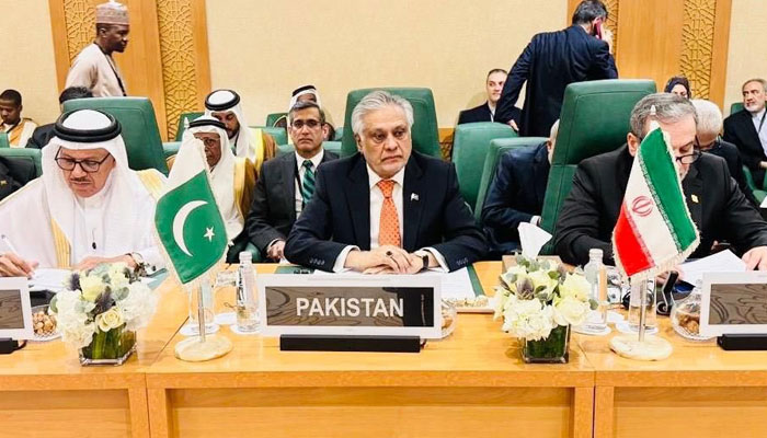 ishaq dar address oic fo meeting