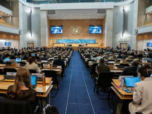 un council